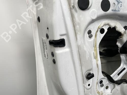 Left front door CITROËN C4 II (NC_) 1.6 HDi 115 | BP28451027C2