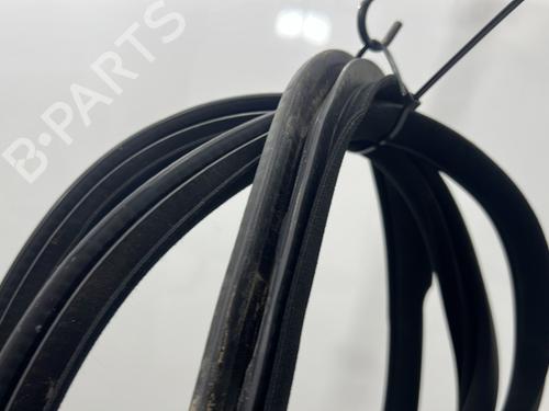 Rubber door seal MERCEDES-BENZ C-CLASS Coupe (CL203) C 220 CDI (203.708) | BP30136951C142