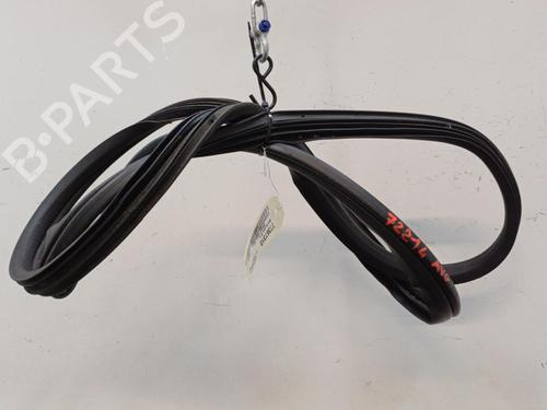 Used Rubber door seal FIAT GRANDE PUNTO (199_) 1.3 D Multijet (199.AXD11, 199.AXD1A, 199.AXD1B,... (90 hp) 20449870