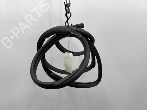 Used Rubber door seal TOYOTA COROLLA Verso (ZER_, ZZE12_, R1_) 2.0 D-4D (CUR10_, CUR10R) (116 hp) 20394814