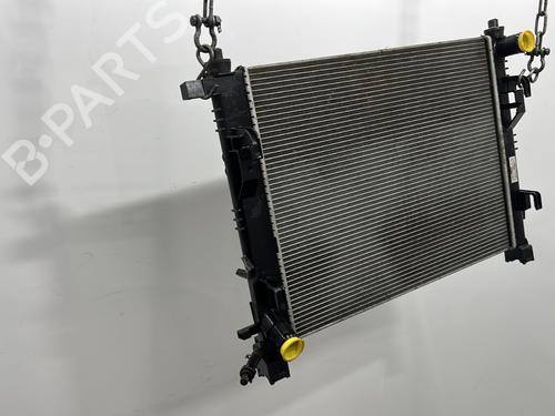 Water radiator DACIA DOKKER MPV (KE_) 1.2 TCe (KEM0, KEAY) | BP32219971M31