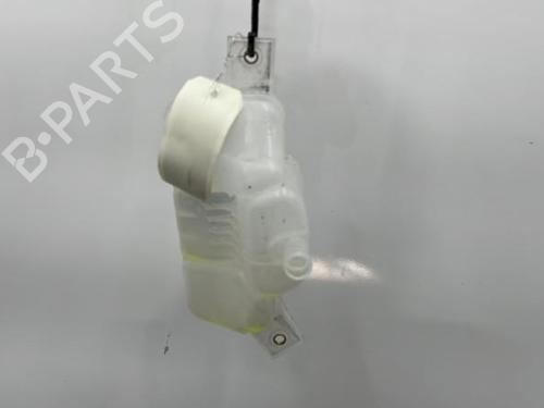 Expansion tank RENAULT KADJAR (HA_, HL_) 1.5 BLUE dCi 115 (HLA6) | BP20439705C120 