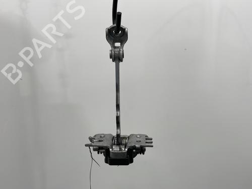 Used Hinge/Door check strap RENAULT SCÉNIC III (JZ0/1_) 1.5 dCi (110 hp) 21048335