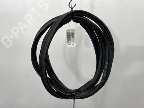 Used Rubber door seal RENAULT GRAND SCÉNIC III (JZ0/1_) 1.5 dCi (JZ09, JZ0D, JZ10, JZ14, JZ1G, JZ29, JZ2C) (110 hp) 26181671