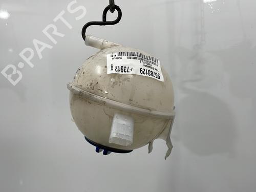 Used Expansion tank VW PASSAT B7 (362) 2.0 TDI (140 hp) 21162907