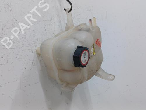 Used Expansion tank FORD TRANSIT Van (FA_ _) 2.0 DI (FAE_, FAF_, FAG_) (100 hp) 20446605
