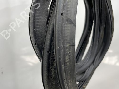 Rubber door seal VW POLO VI (AW1, BZ1, AE1) 1.6 TDI | BP24810078C142 