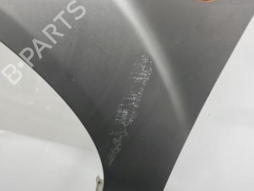 Left front fenders FORD FIESTA V (JH_, JD_) 1.4 16V | BP20395631C41 