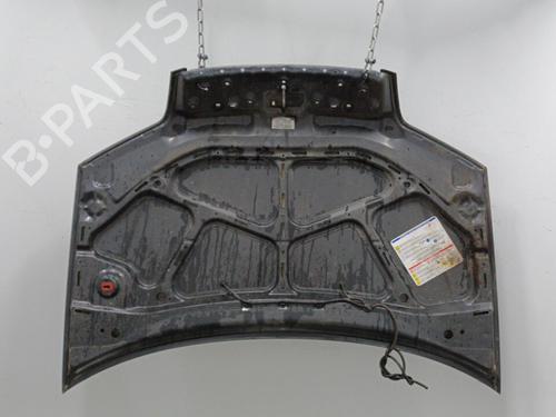 Hood FIAT PUNTO (188_) 1.2 60 (188.030, .050, .130, .150, .230, .250) | BP22102517C1 