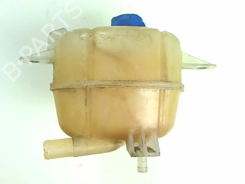 Expansion tank FIAT QUBO (225_) 1.3 D Multijet (225CXB1A, 225AXB1A, 225CXB11, 225AXB11,... | BP20462471C120 
