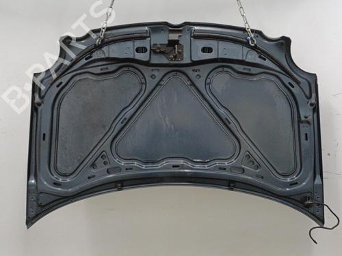 Hood VW POLO IV (9N_, 9A_) 1.2 12V | BP20424566C1 