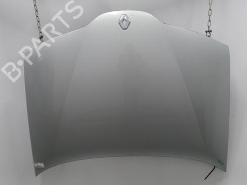 Hood RENAULT LAGUNA II Grandtour (KG0/1_) 1.9 dCi | BP20464919C1 