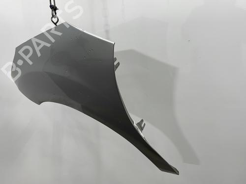 Left front fenders CITROËN C3 II (SC_) 1.1 i | BP28321631C41 