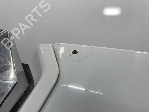 Used Hood RENAULT MEGANE III Hatchback (BZ0/1_, B3_) 1.9 dCi (BZ0N, BZ0J) (131 hp) 20396053