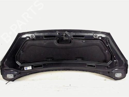 Hood PEUGEOT 1007 (KM_) 1.4 HDi | BP20391148C1