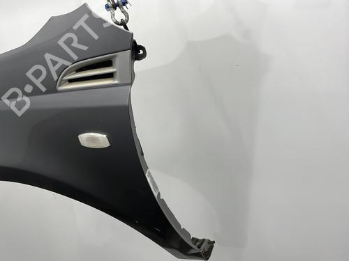 Guarda-lamas esquerdo Guarda-lamas esquerdo CHEVROLET AVEO / KALOS Hatchback (T250, T255) 1.2 (84 hp) 21062319 21062319