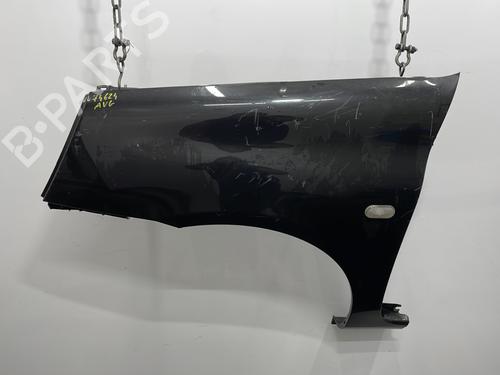 Left front fenders RENAULT CLIO II (BB_, CB_) 1.2 16V (BB05, BB0W, BB11, BB27, BB2T, BB2U, BB2V, CB05,... | BP21184872C41 