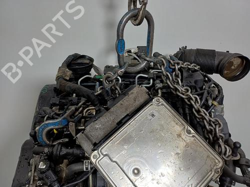 Engine VW GOLF VI (5K1) 2.0 TDI | BP39393288M1  - Image 6