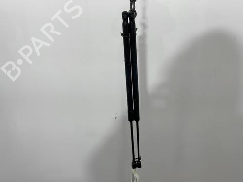 Used Tailgate lift support FIAT 500L (351_, 352_) 1.3 D Multijet (199LXY1A, 199LXY11) (84 hp) 30443924