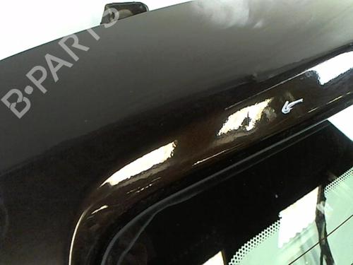 Tailgate LANCIA YPSILON (843_) 1.3 JTD (843.AXD11, 843.AXD1A) | BP20407443C6 