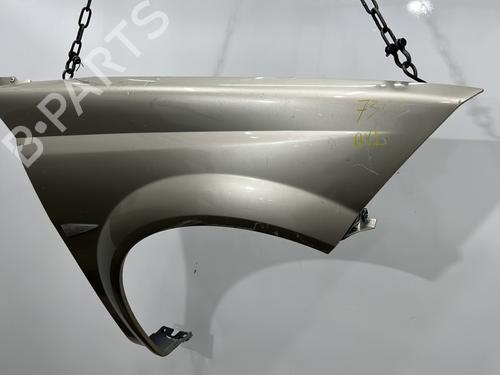 Right front fenders RENAULT MEGANE II Coupé-Cabriolet (EM0/1_) 1.9 dCi | BP20422161C42 