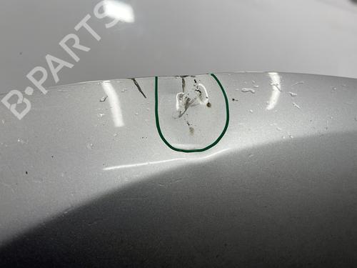 Hood DACIA DOKKER MPV (KE_) 1.2 TCe (KEM0, KEAY) | BP32183028C1