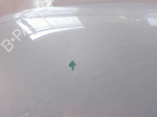 Hood HYUNDAI MATRIX (FC) 1.5 CRDi | BP20475930C1 