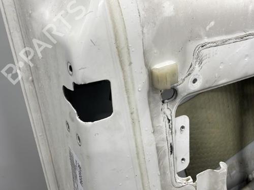 Left front door FORD TRANSIT CONNECT (P65_, P70_, P80_) 1.8 Di | BP20393878C2 