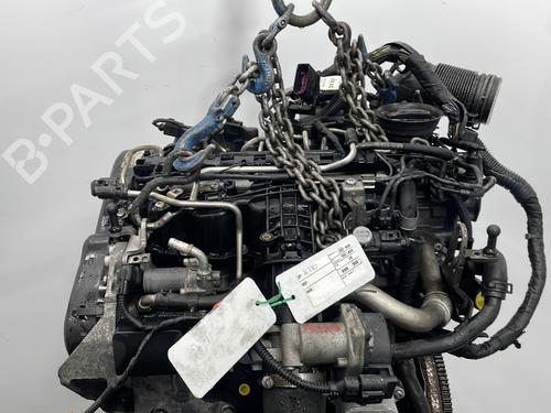 Motor VW POLO V (6R1, 6C1) 1.6 TDI | BP30401714M1