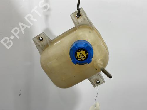 Used Expansion tank FIAT LINEA (323_, 110_) 1.3 D Multijet (323AXB11, 323AXB1A) (90 hp) 30975602
