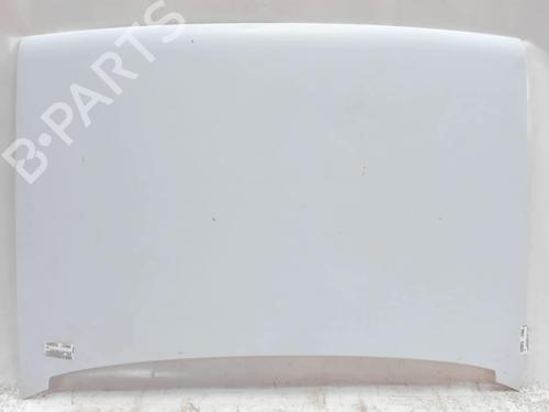 Used Hood RENAULT RAPID Box Body/MPV (F40_, G40_) 1.6 D (F404) (55 hp) 20413746