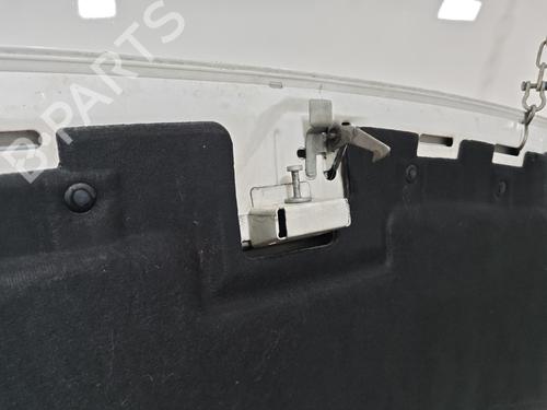 Used Hood Hood 39138884 39138884