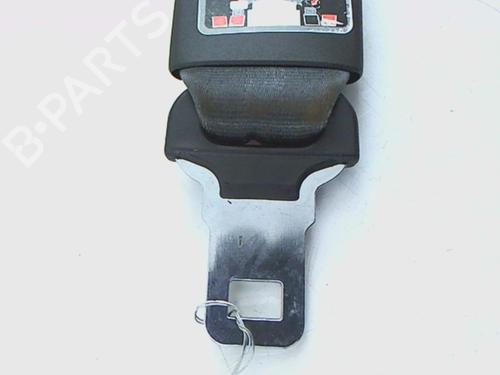 Rear middle belt tensioner RENAULT CLIO III (BR0/1, CR0/1) 1.5 dCi (C/BR0G, C/BR1G) | BP21234741C91 