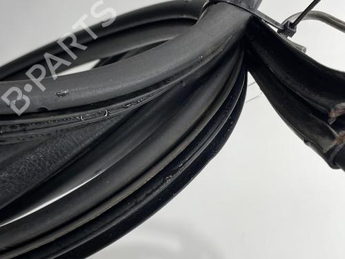 Rubber door seal RENAULT CLIO II (BB_, CB_) 1.5 dCi (B/C2J) | BP29438028C142 