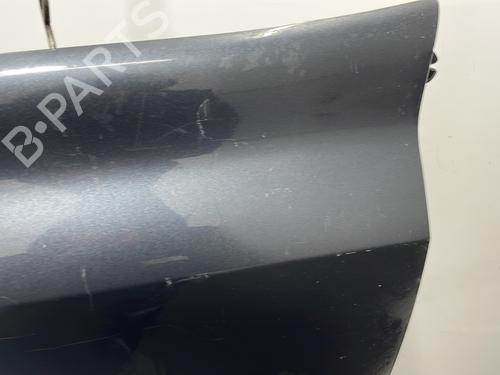 Left front fenders RENAULT LAGUNA II (BG0/1_) 1.9 dCi (BG1A, BG1W, BG0G) | BP20402962C41 