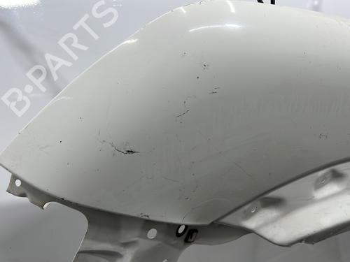 Left front fenders FORD TRANSIT CONNECT (P65_, P70_, P80_) 1.8 TDCi | BP20454141C41 