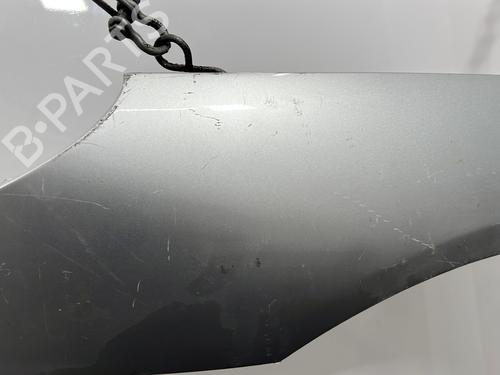 Left front fenders PEUGEOT 407 (6D_) 2.0 HDi 135 (6DRHRH, 6DRHRE, 6DRHRG, 6DRHRJ) | BP20424325C41 