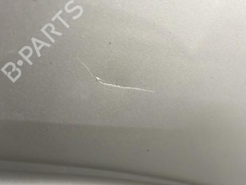 Right rear door NISSAN PATHFINDER III (R51) 2.5 dCi 4WD | BP20395838C5 