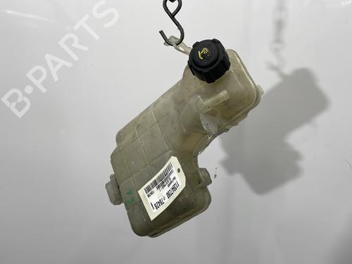 Expansion tank RENAULT VEL SATIS (BJ0_) 2.0 16V Turbo (BJ0K) | BP29844343C120 