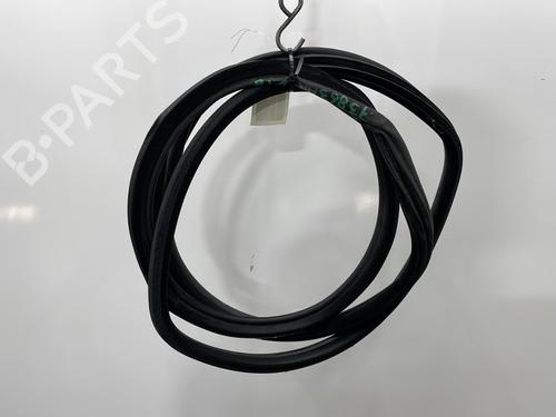 Gummiliste BMW X5 (E53) 3.0 d | BP26964411C142 - Image 2