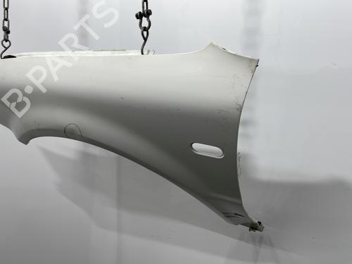 Left front fenders VW PASSAT B5 (3B2) 1.9 TDI | BP20428441C41 