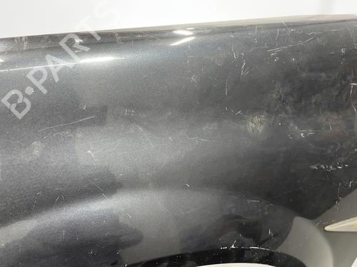 Left front fenders RENAULT MEGANE II (BM0/1_, CM0/1_) 1.5 dCi (BM1F, CM1F) | BP20443032C41 