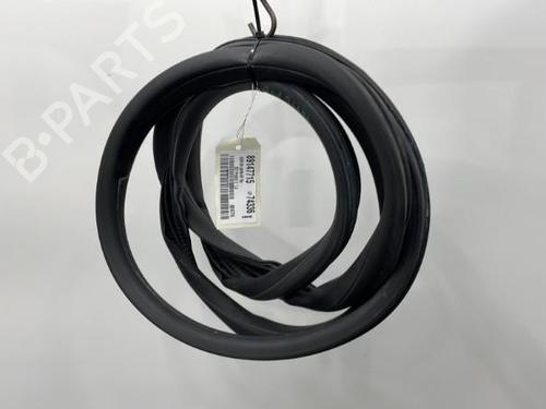 Used Rubber door seal PEUGEOT 207 (WA_, WC_) 1.4 16V (95 hp) 20387655