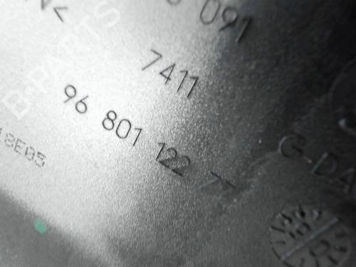 Front left exterior door handle PEUGEOT 1007 (KM_) 1.6 16V | BP31871490C128 