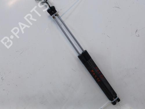 Tailgate lift support RENAULT CLIO III (BR0/1, CR0/1) 1.5 dCi | BP20450275C138 