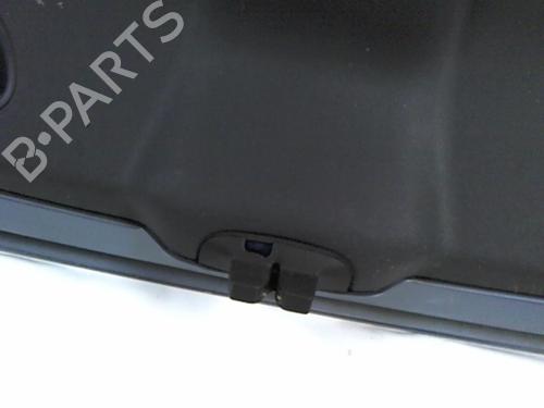 Tailgate RENAULT VEL SATIS (BJ0_) 3.0 dCi (BJ0J, BJ0N) | BP20477070C6 