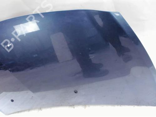 Hood RENAULT CLIO III (BR0/1, CR0/1) 1.5 dCi (C/BR0G, C/BR1G) | BP20409450C1 