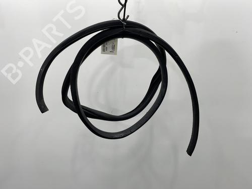 Rubber door seal HYUNDAI i20 I (PB, PBT) 1.4 CRDi | BP20438266C142 