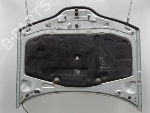 Used Hood RENAULT LAGUNA II Grandtour (KG0/1_) 1.9 dCi (107 hp) 20464919