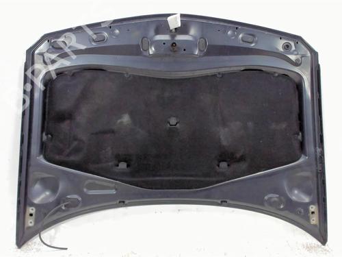 Hood RENAULT LAGUNA II Grandtour (KG0/1_) 2.0 dCi (KG1T) | BP20412588C1 